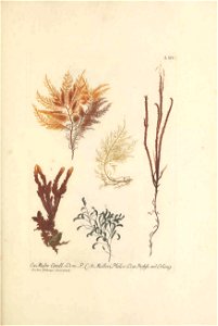 n106_w1150
