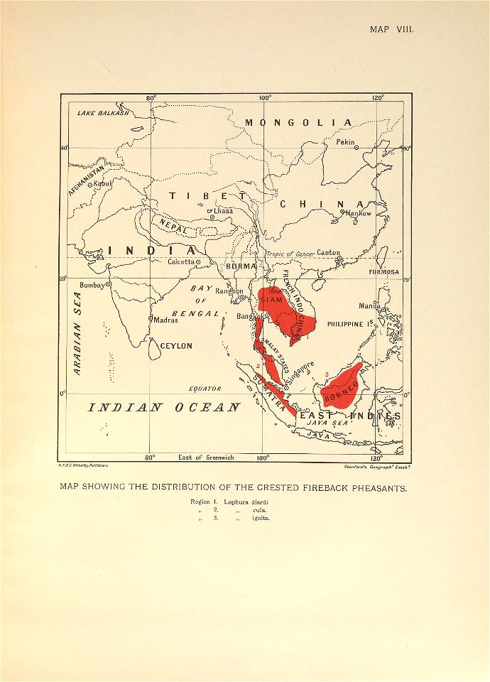 n238_w1150