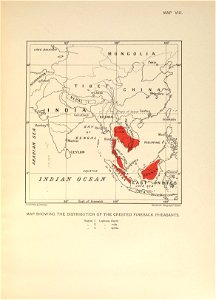 n238_w1150