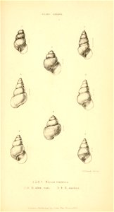 n490_w1150
