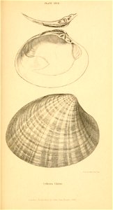 n370_w1150