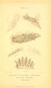 n654_w1150