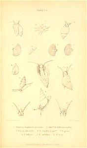 n624_w1150