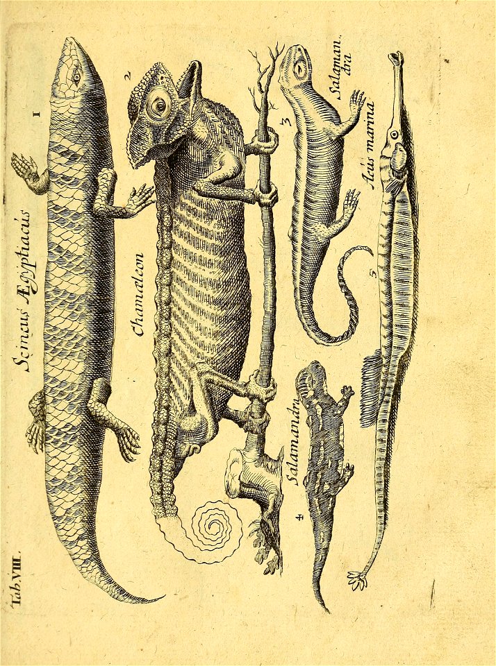n42_w1150