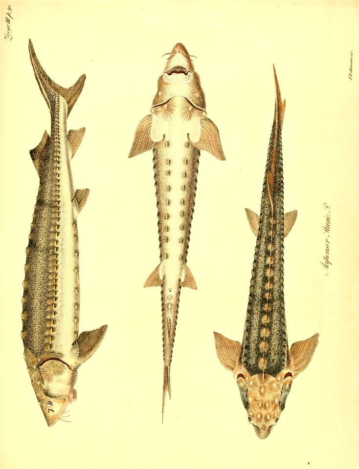 n572_w1150