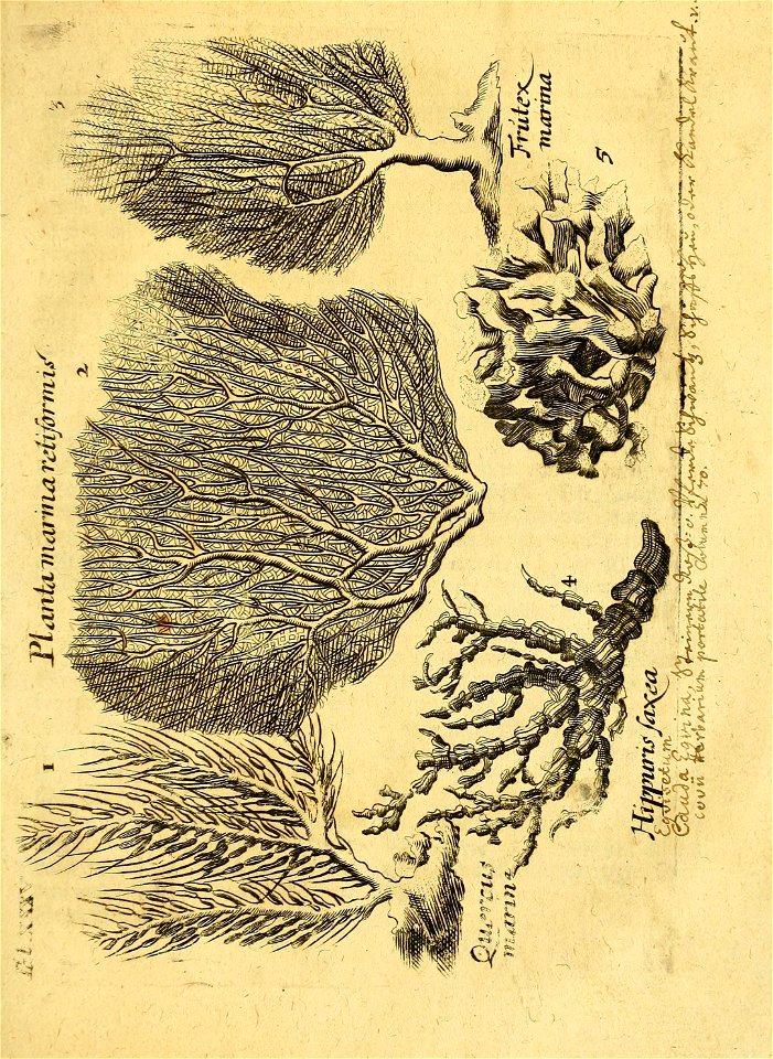 n158_w1150