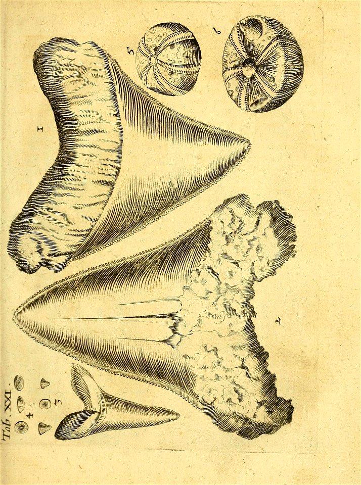 n92_w1150