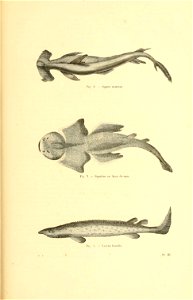 n456_w1150