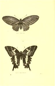 n105_w1150