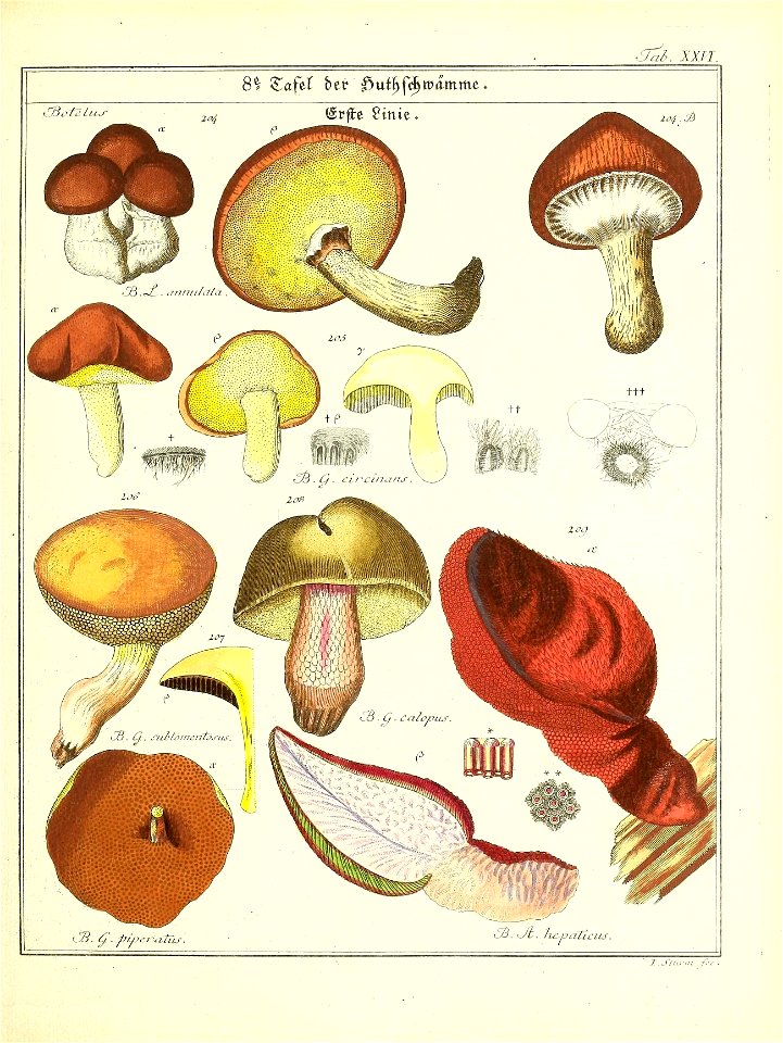 n58_w1150
