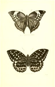 n348_w1150
