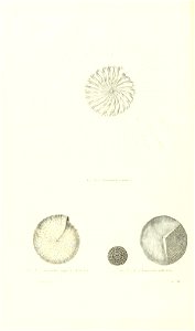 n359_w1150