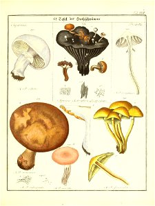 n54_w1150