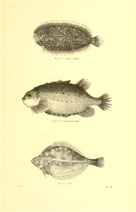 n420_w1150