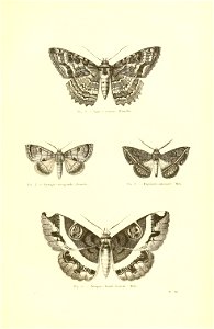 n186_w1150
