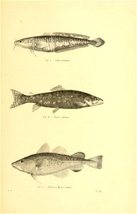 n414_w1150