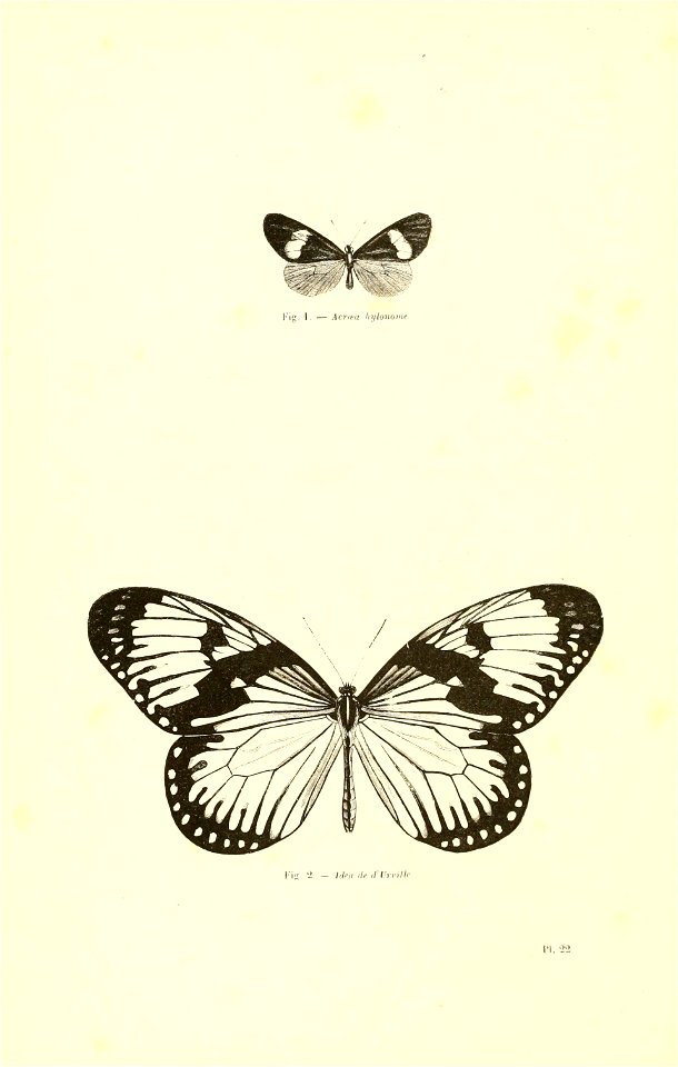 n187_w1150