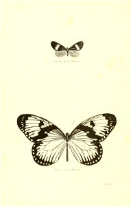 n187_w1150