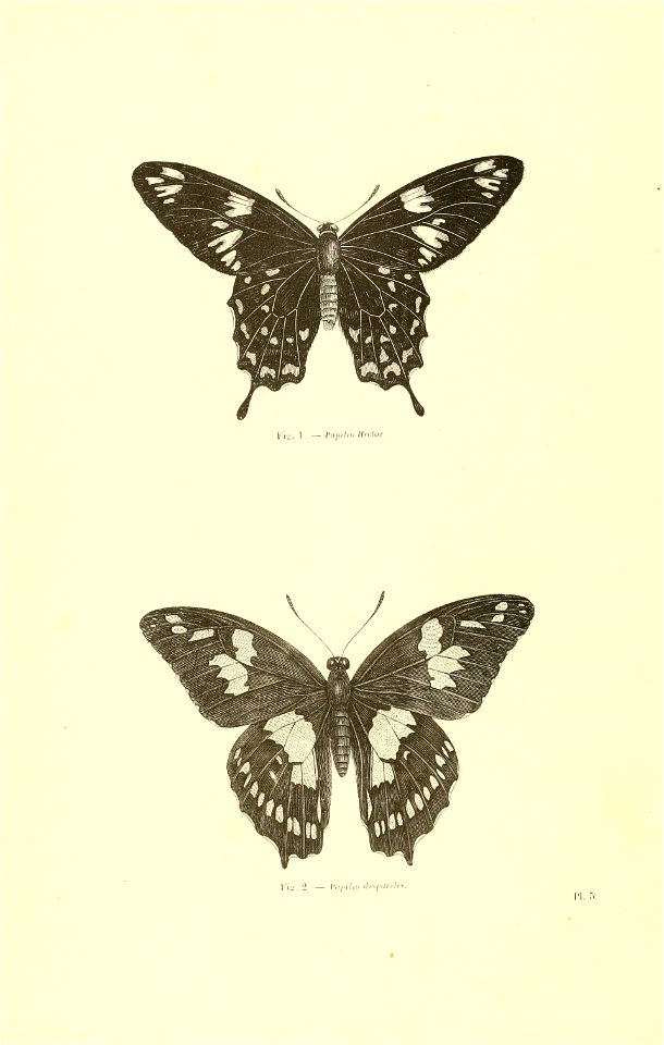 n49_w1150