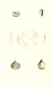 n319_w1150