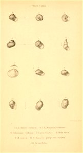 n580_w1150