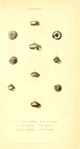 n550_w1150