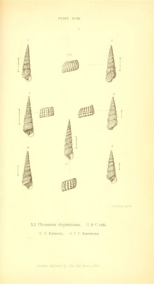 n502_w1150