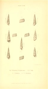 n502_w1150