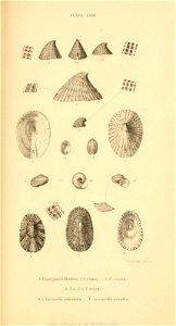 n442_w1150