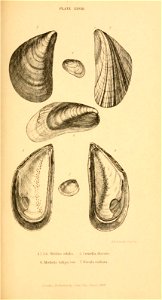 n412_w1150