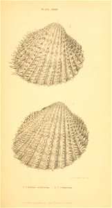 n382_w1150