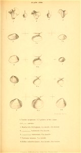 n352_w1150