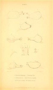 n576_w1150