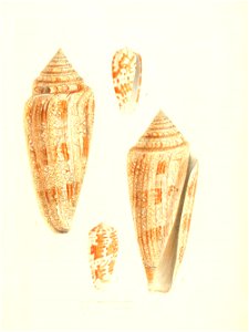 n156_w1150