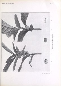 n172_w1150