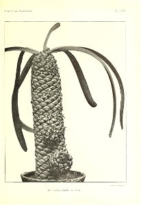 n550_w1150
