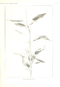 n368_w1150