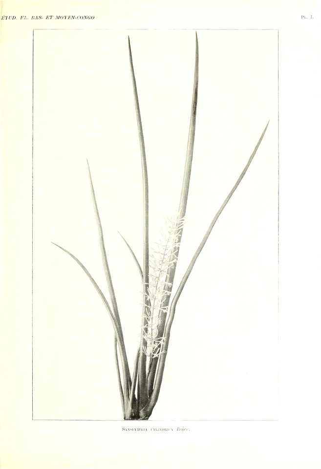 n338_w1150
