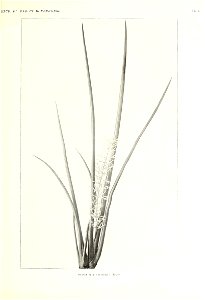 n338_w1150