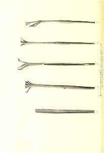 n251_w1150