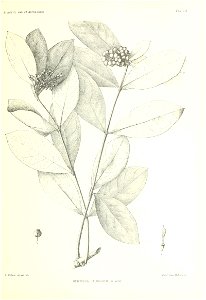 n112_w1150