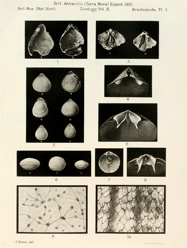 n262_w1150