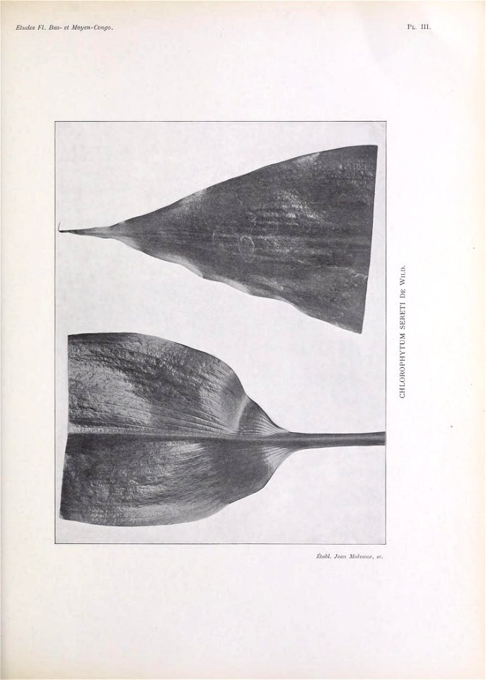 n170_w1150