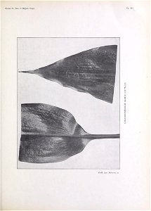 n170_w1150