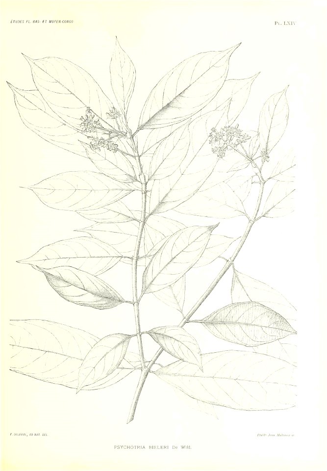 n366_w1150