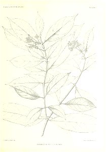 n366_w1150