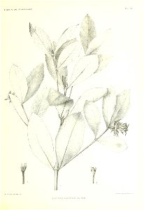 n110_w1150