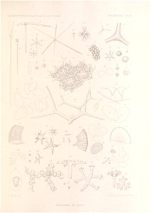 n324_w1150