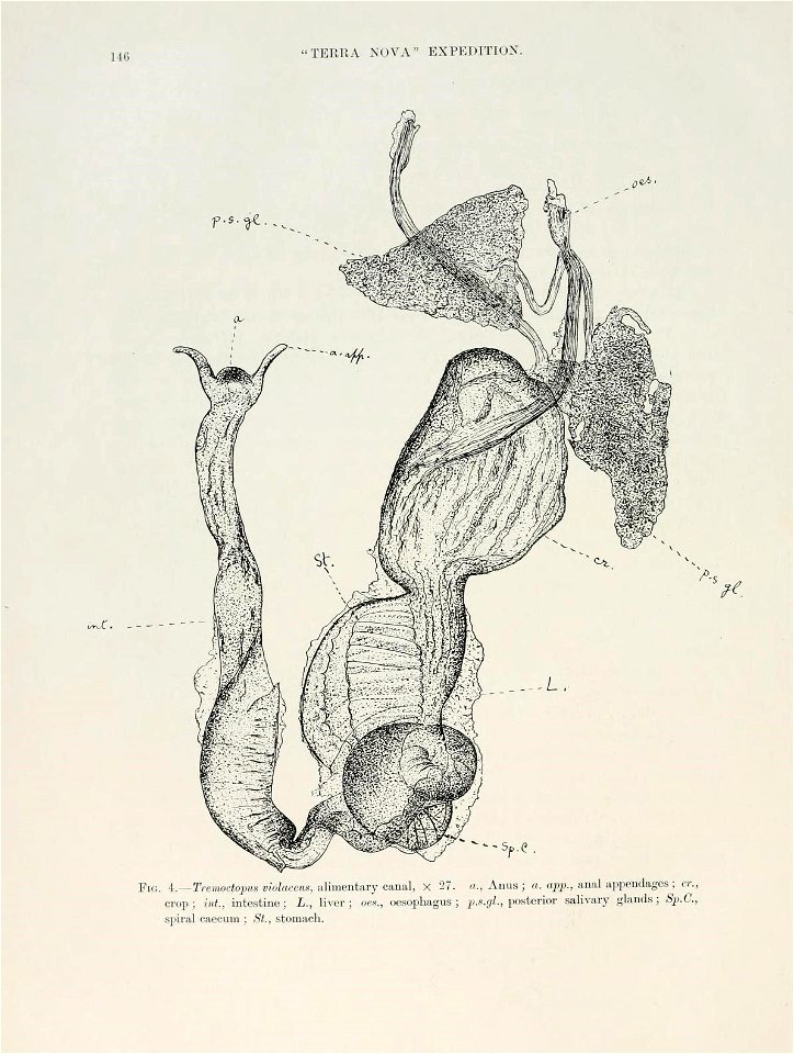 n203_w1150