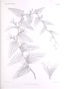 n198_w1150